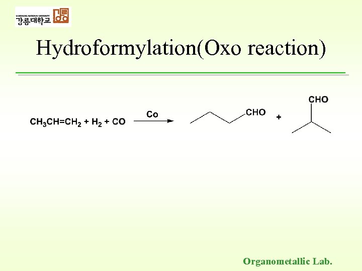 Hydroformylation(Oxo reaction) Organometallic Lab. 