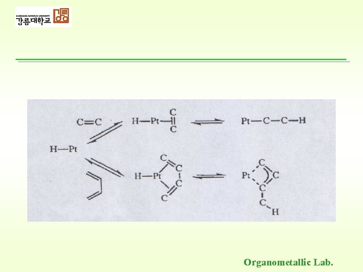 Organometallic Lab. 