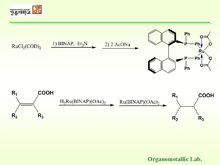 Organometallic Lab. 