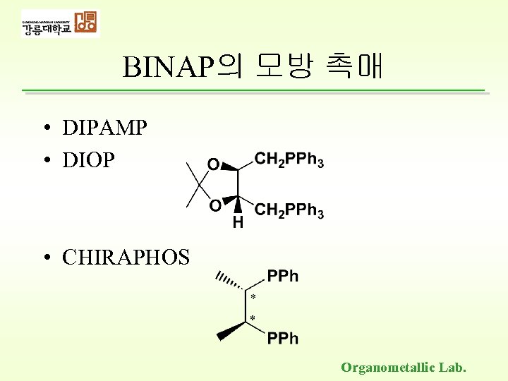 BINAP의 모방 촉매 • DIPAMP • DIOP • CHIRAPHOS Organometallic Lab. 