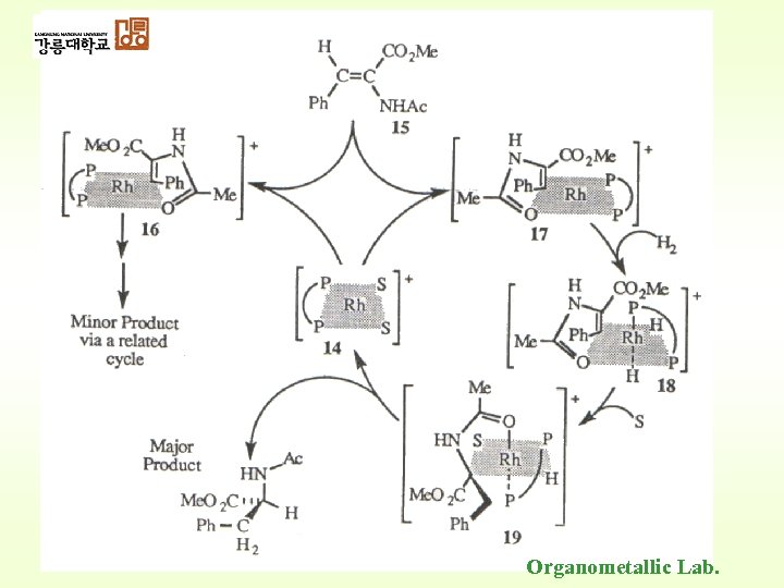 Organometallic Lab. 