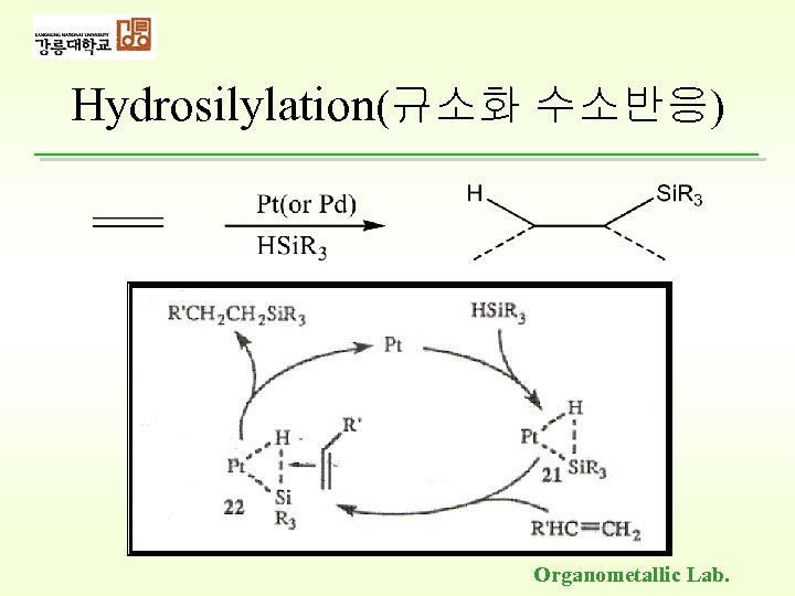 Hydrosilylation(규소화 수소반응) Organometallic Lab. 