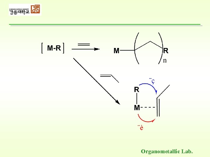 Organometallic Lab. 