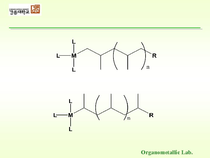 Organometallic Lab. 