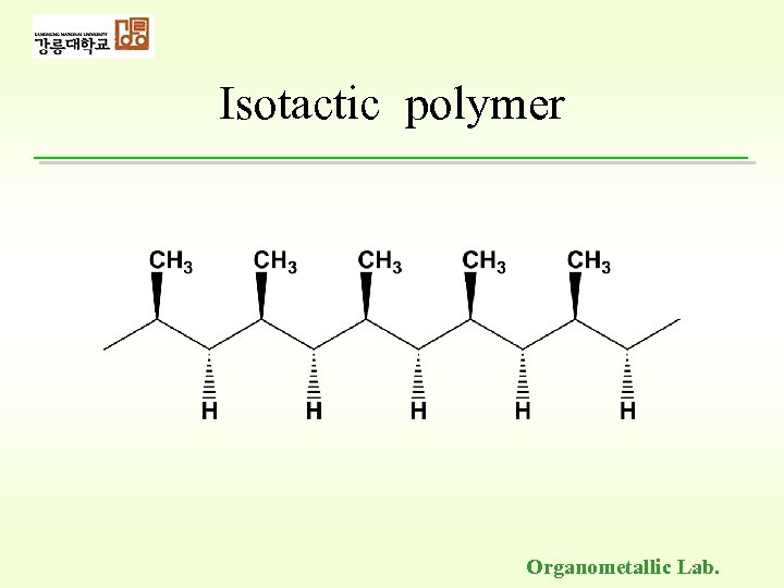 Isotactic polymer Organometallic Lab. 