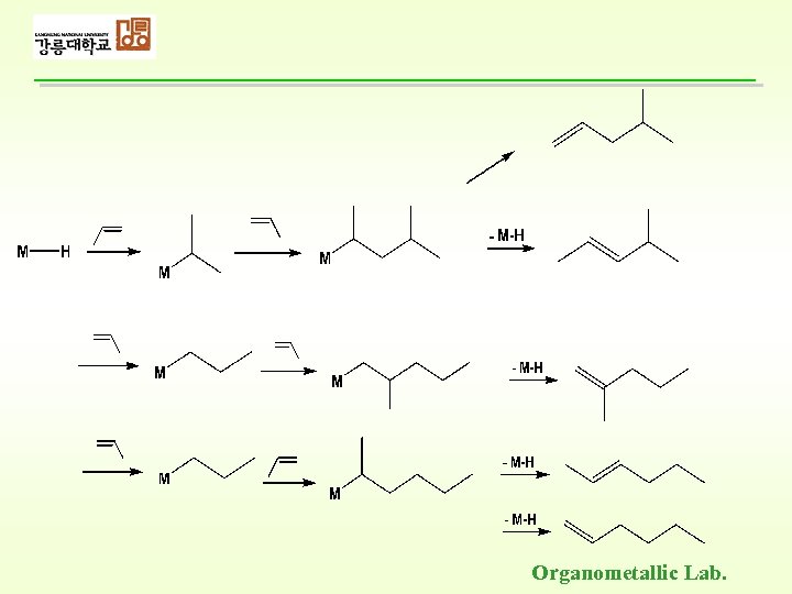 Organometallic Lab. 