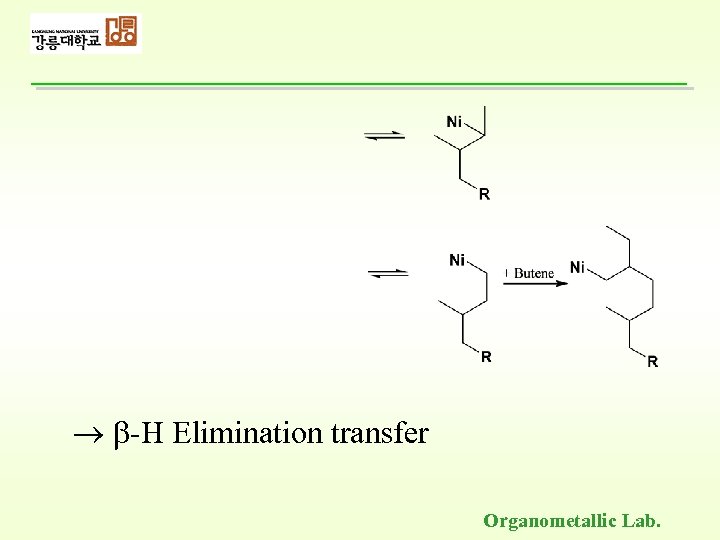  -H Elimination transfer Organometallic Lab. 