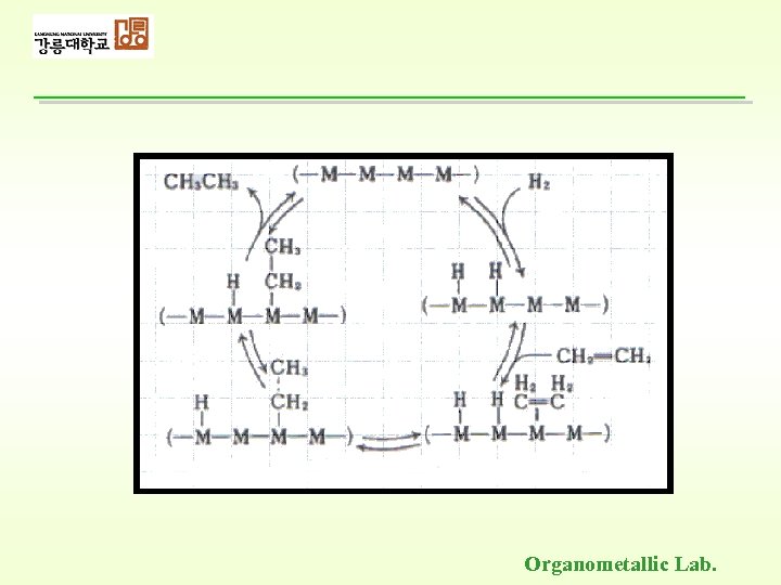 Organometallic Lab. 