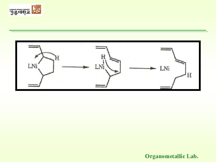 Organometallic Lab. 