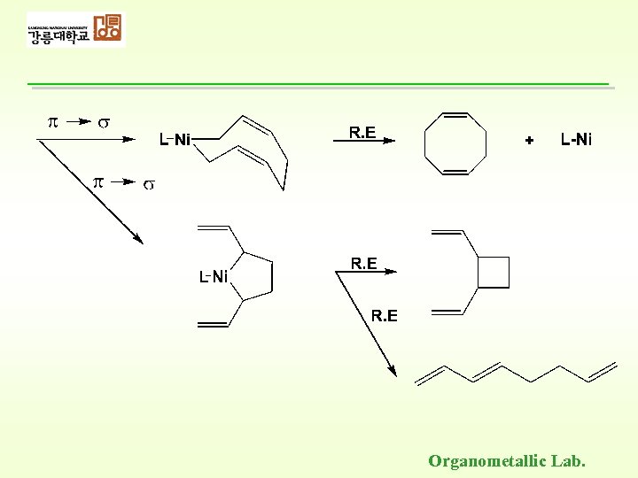 Organometallic Lab. 