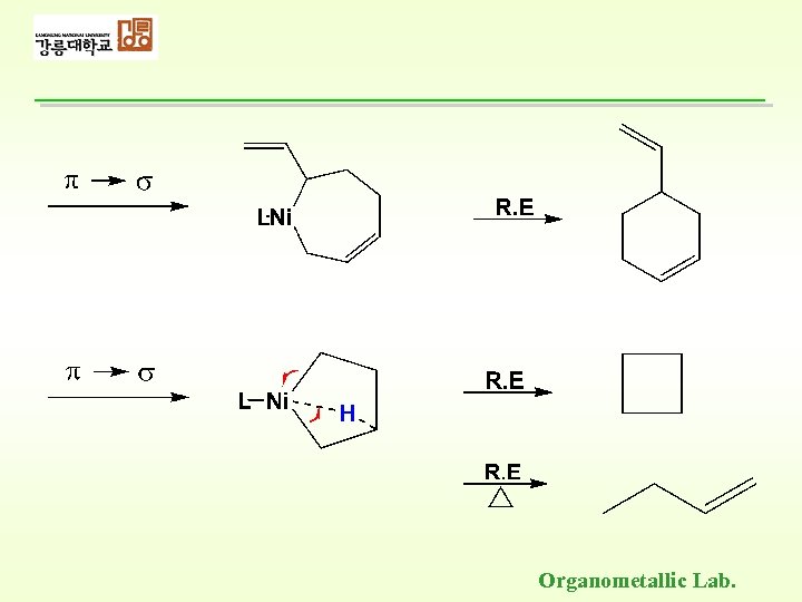 Organometallic Lab. 