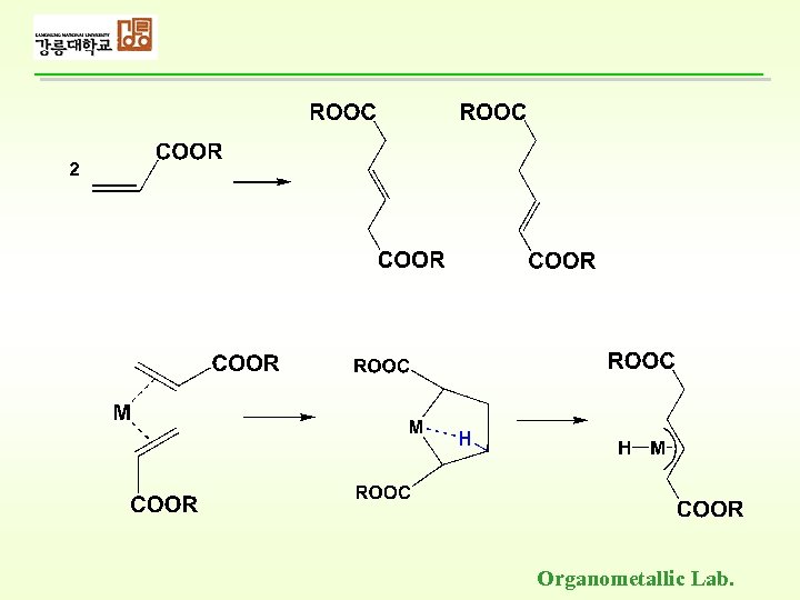 Organometallic Lab. 