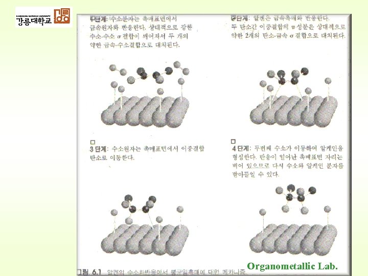 Organometallic Lab. 