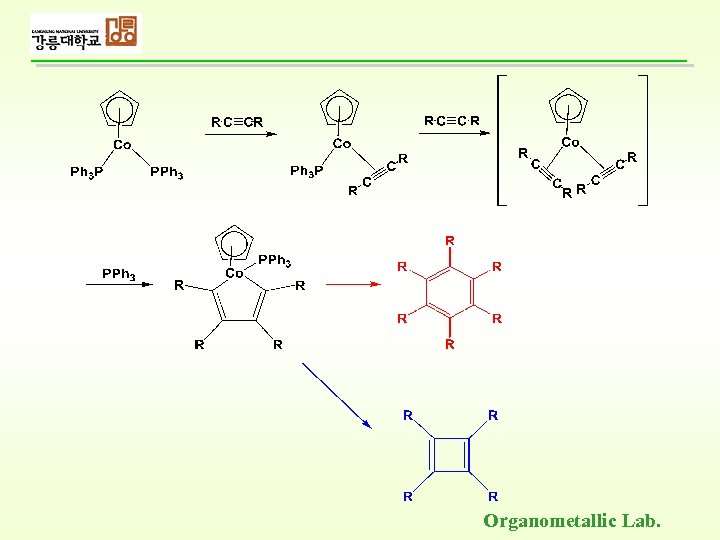 Organometallic Lab. 