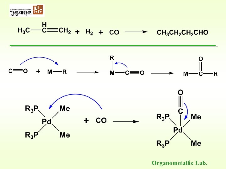 Organometallic Lab. 