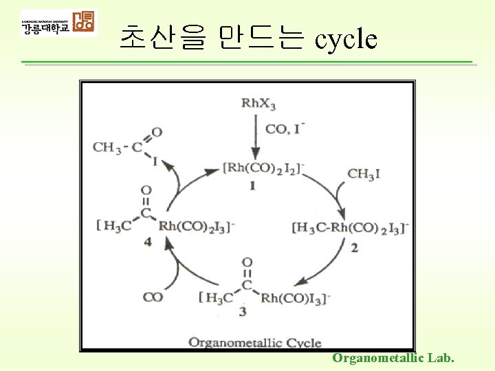 초산을 만드는 cycle Organometallic Lab. 