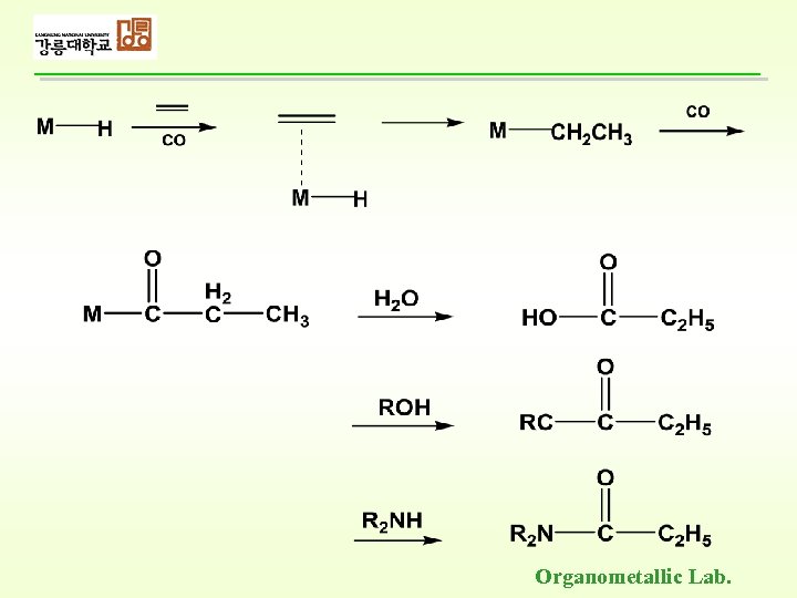 Organometallic Lab. 