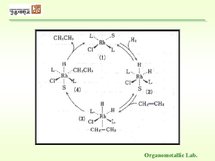 Organometallic Lab. 