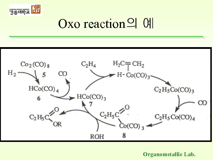 Oxo reaction의 예 Organometallic Lab. 