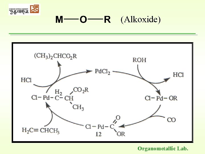 (Alkoxide) Organometallic Lab. 