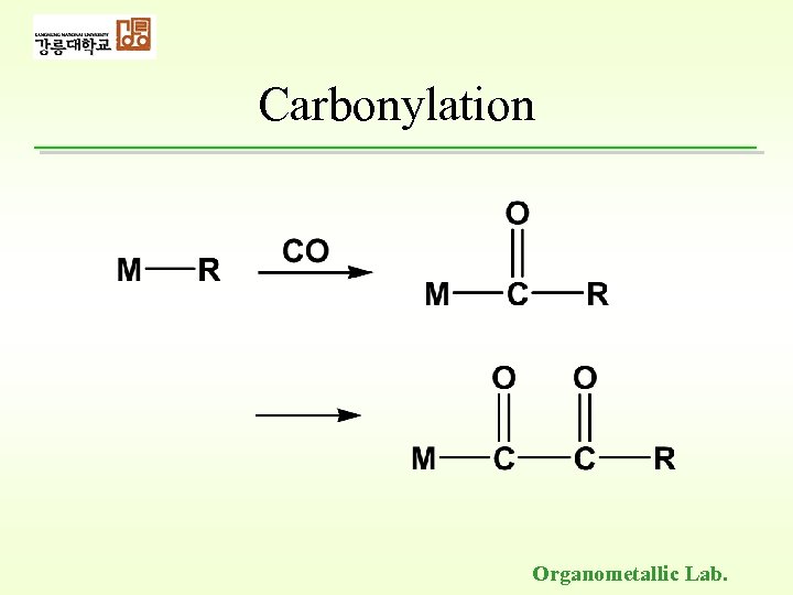 Carbonylation Organometallic Lab. 