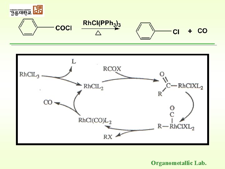 Organometallic Lab. 