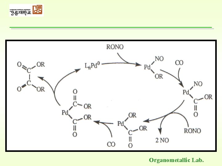 Organometallic Lab. 