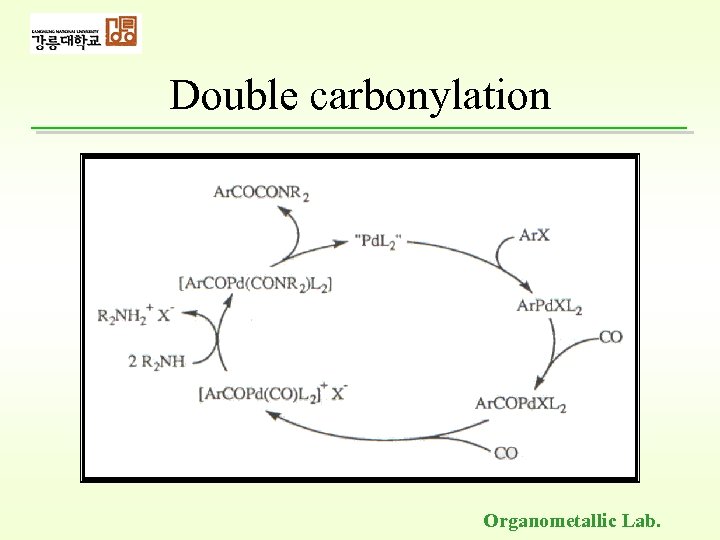 Double carbonylation Organometallic Lab. 