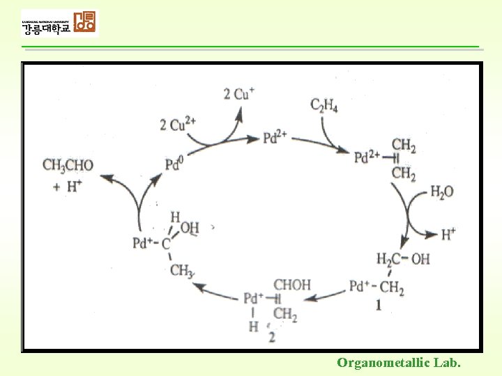 Organometallic Lab. 