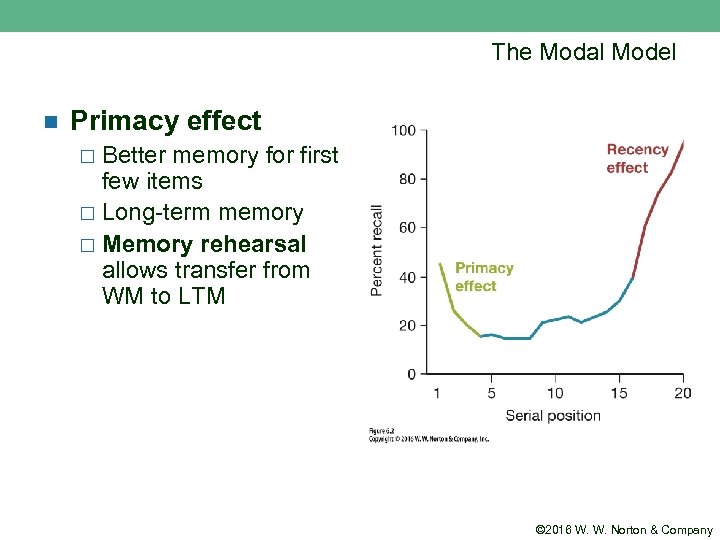 The Modal Model n Primacy effect Better memory for first few items ¨ Long-term