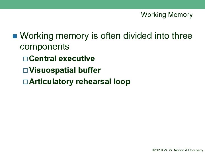 Working Memory n Working memory is often divided into three components ¨ Central executive