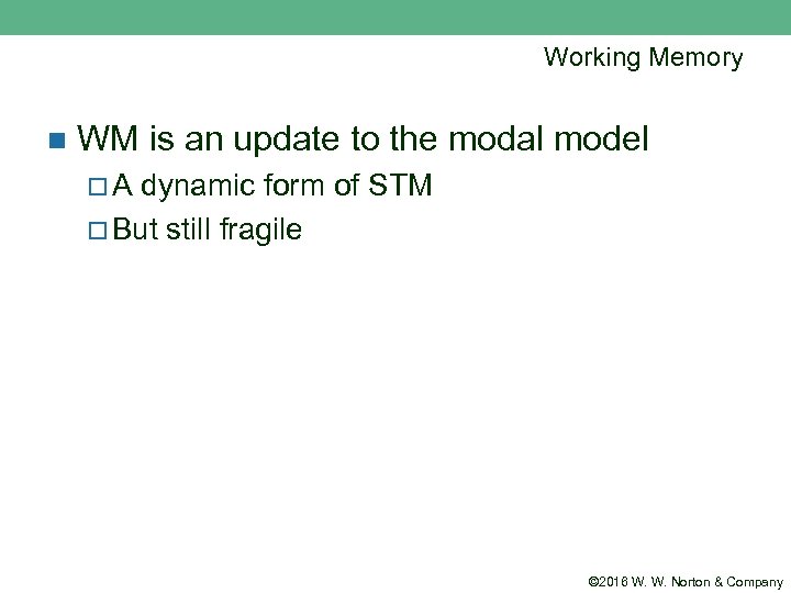 Working Memory n WM is an update to the modal model ¨A dynamic form