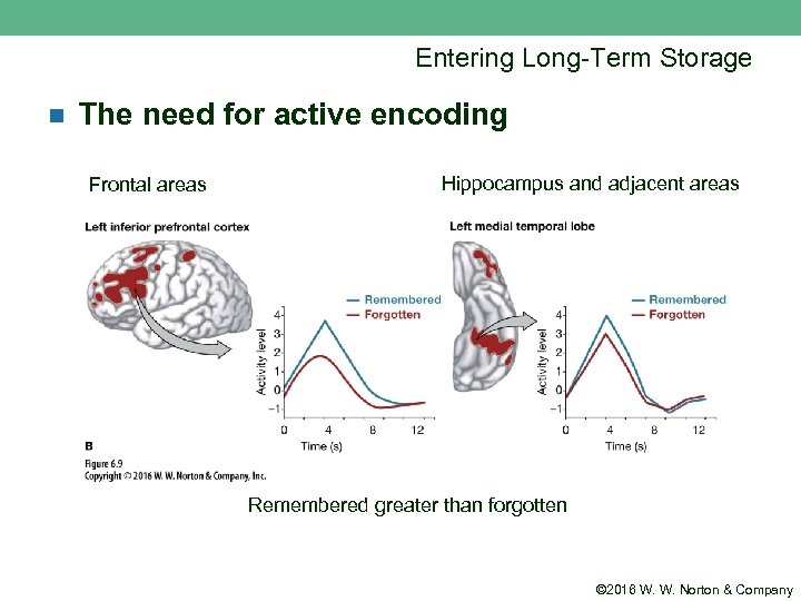 Entering Long-Term Storage n The need for active encoding Frontal areas Hippocampus and adjacent