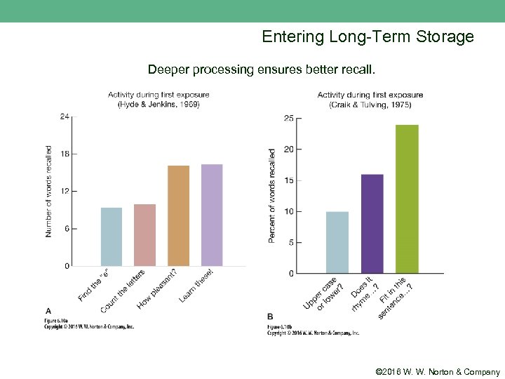 Entering Long-Term Storage Deeper processing ensures better recall. © 2016 W. W. Norton &