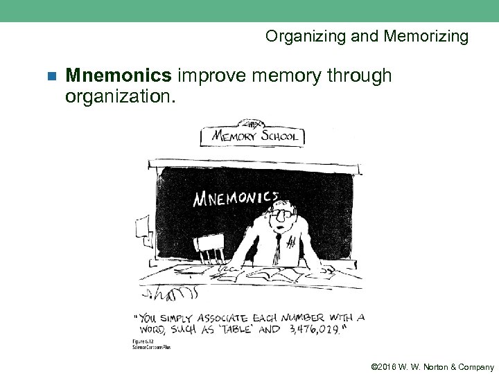 Organizing and Memorizing n Mnemonics improve memory through organization. © 2016 W. W. Norton