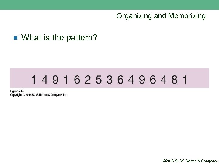 Organizing and Memorizing n What is the pattern? © 2016 W. W. Norton &