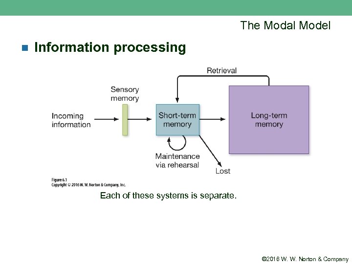 The Modal Model n Information processing Each of these systems is separate. © 2016