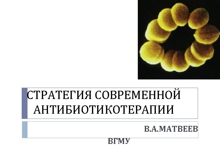 СТРАТЕГИЯ СОВРЕМЕННОЙ АНТИБИОТИКОТЕРАПИИ В. А. МАТВЕЕВ ВГМУ 