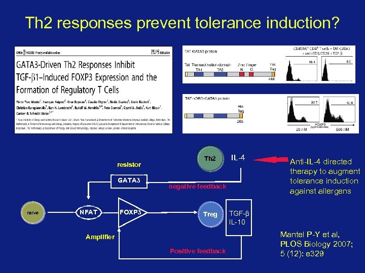 Th 2 responses prevent tolerance induction? resistor GATA 3 naive NFAT FOXP 3 Th