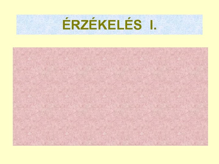 ÉRZÉKELÉS I. 