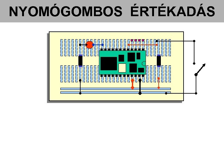 NYOMÓGOMBOS ÉRTÉKADÁS 