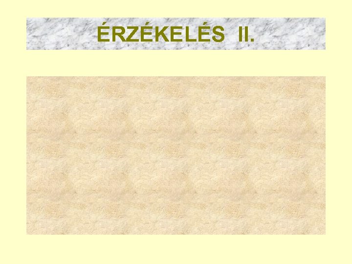 ÉRZÉKELÉS II. 