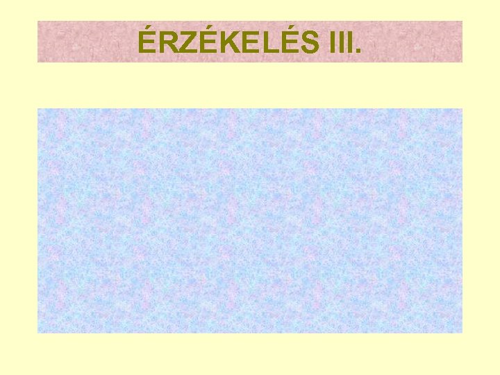 ÉRZÉKELÉS III. 