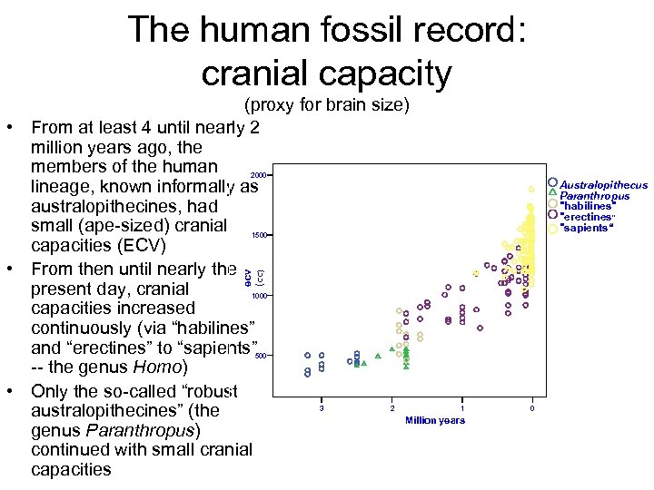 The human fossil record: cranial capacity (proxy for brain size) • From at least