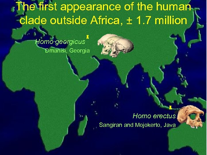 The first appearance of the human clade outside Africa, ± 1. 7 million Homo