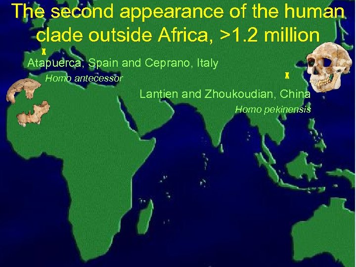 The second appearance of the human clade outside Africa, >1. 2 million X Atapuerca,