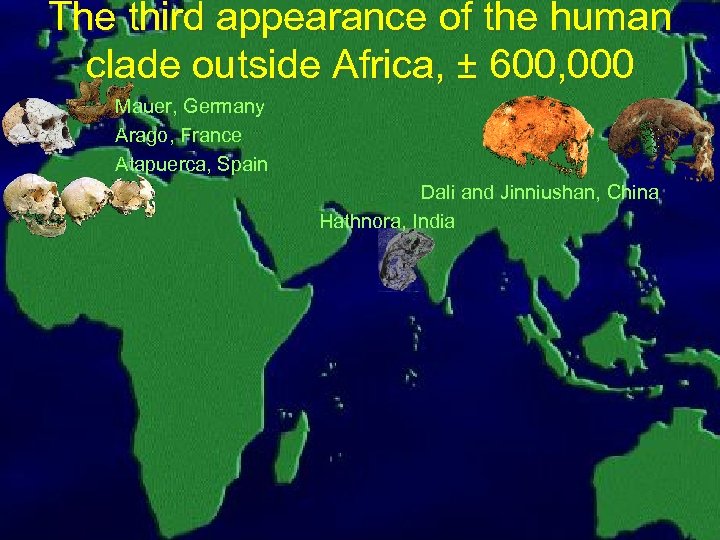 The third appearance of the human clade outside Africa, ± 600, 000 Mauer, Germany