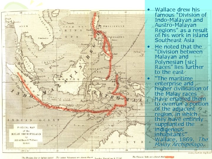  • Wallace drew his famous “Division of Indo-Malayan and Austro-Malayan Regions” as a