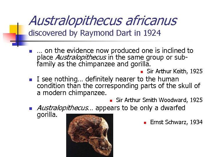 Australopithecus africanus discovered by Raymond Dart in 1924 n … on the evidence now
