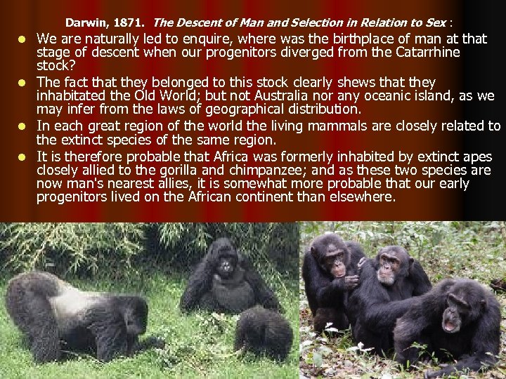 Darwin, 1871. The Descent of Man and Selection in Relation to Sex : l